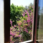 Ferienhaus Casa Dos Tinocos Braga