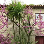 Ferienhaus Casa Dos Tinocos