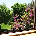 Casa Dos Tinocos Ferienhaus