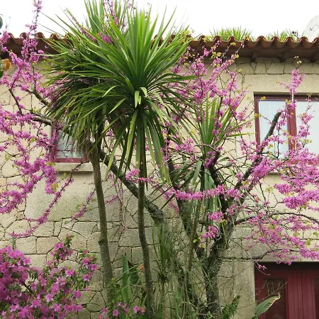 別荘 Casa Dos Tinocos