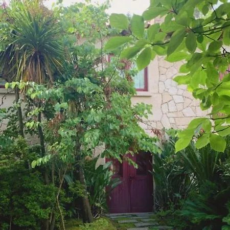 Casa Dos Tinocos * Braga