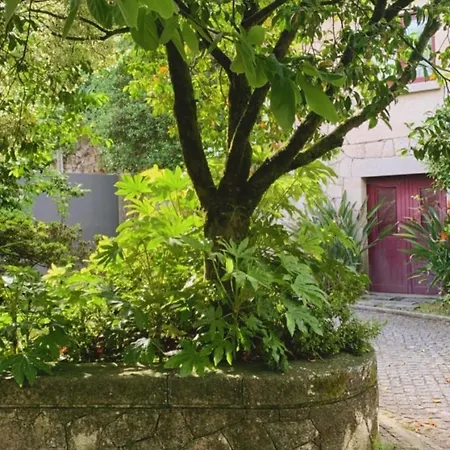 Casa Dos Tinocos 別荘 ブラガ