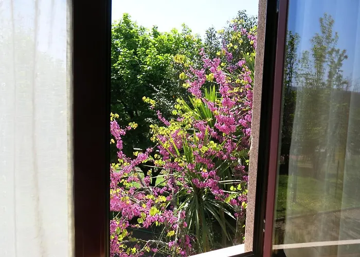 Holiday home Casa Dos Tinocos Braga