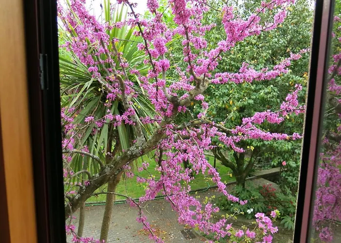 Casa Dos Tinocos Holiday home