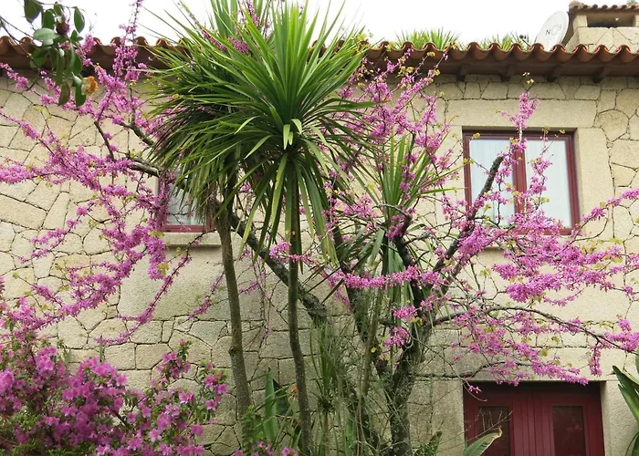 Holiday home Casa Dos Tinocos