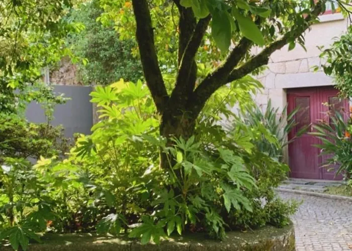 Casa Dos Tinocos Holiday home Braga